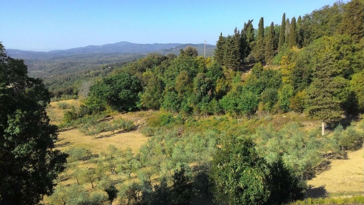 La Casa Dei Sogni Leilighet Monteverdi Marittimo Eksteriør bilde