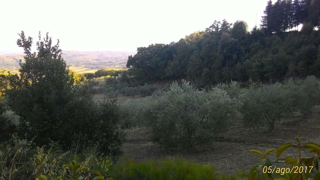 La Casa Dei Sogni Leilighet Monteverdi Marittimo Eksteriør bilde