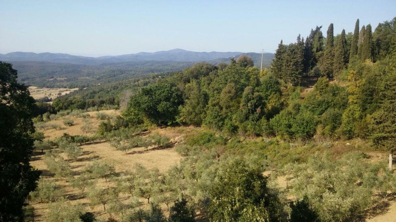 La Casa Dei Sogni Leilighet Monteverdi Marittimo Eksteriør bilde